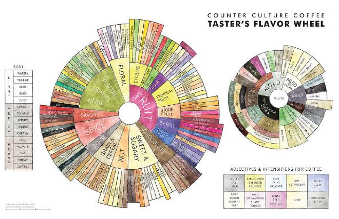coffee cupping taster’s wheel